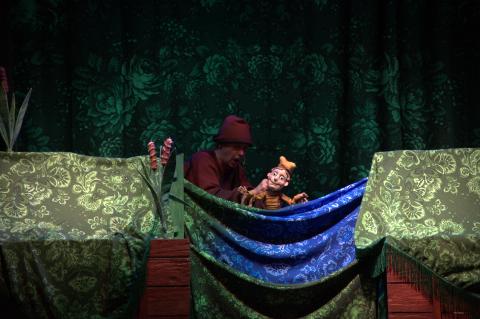 Царевна лягушка