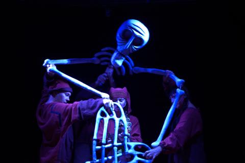 Царевна лягушка